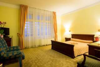 Отель Hotel Maria Ботошани Двухместный номер Делюкс с 1 кроватью 4*-3