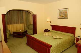 Отель Hotel Maria Ботошани Стандартный двухместный номер с 1 кроватью 3*-7